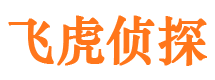 任县市调查公司